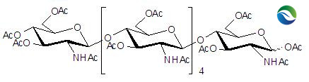  5．全乙酰化的壳六糖(图1)